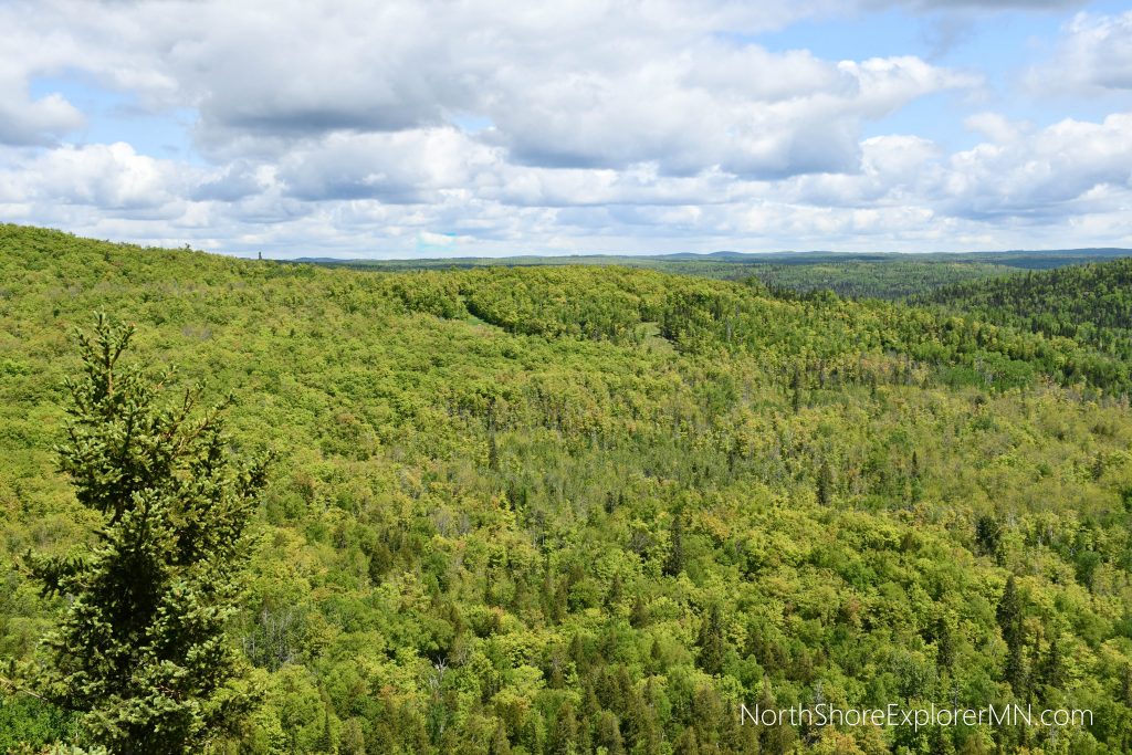 View of Superior National Forest from Moose Mountain