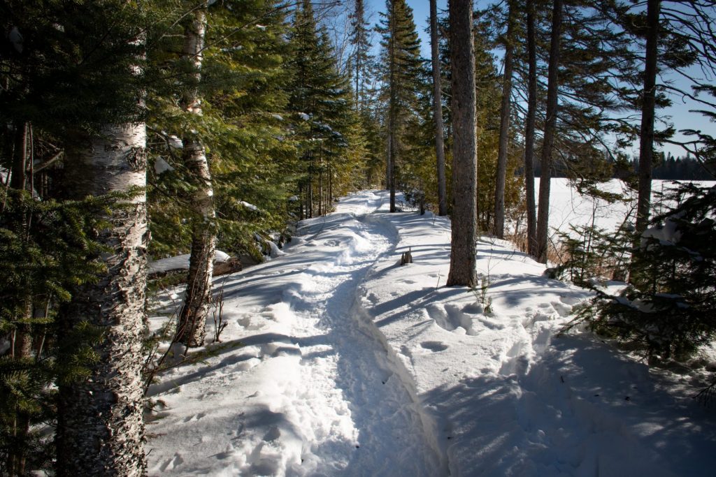 winter hiking trail on the North Shore MN