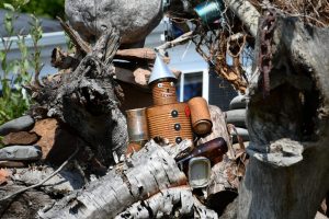 yard art display in hovland, mn 