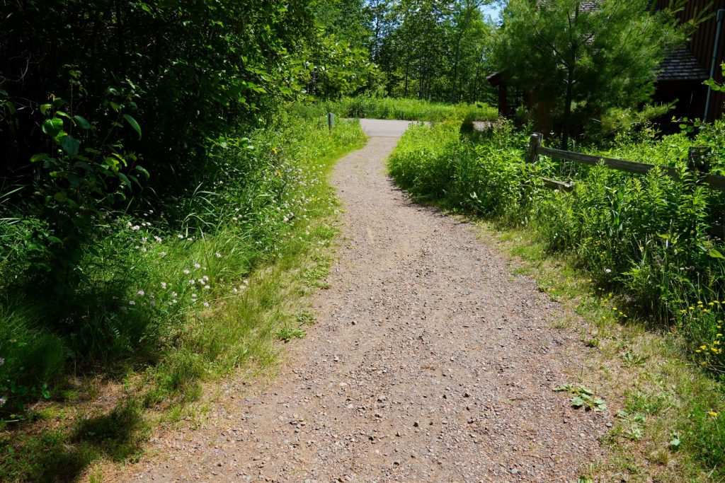 trail at Gooseberry Falls State Park