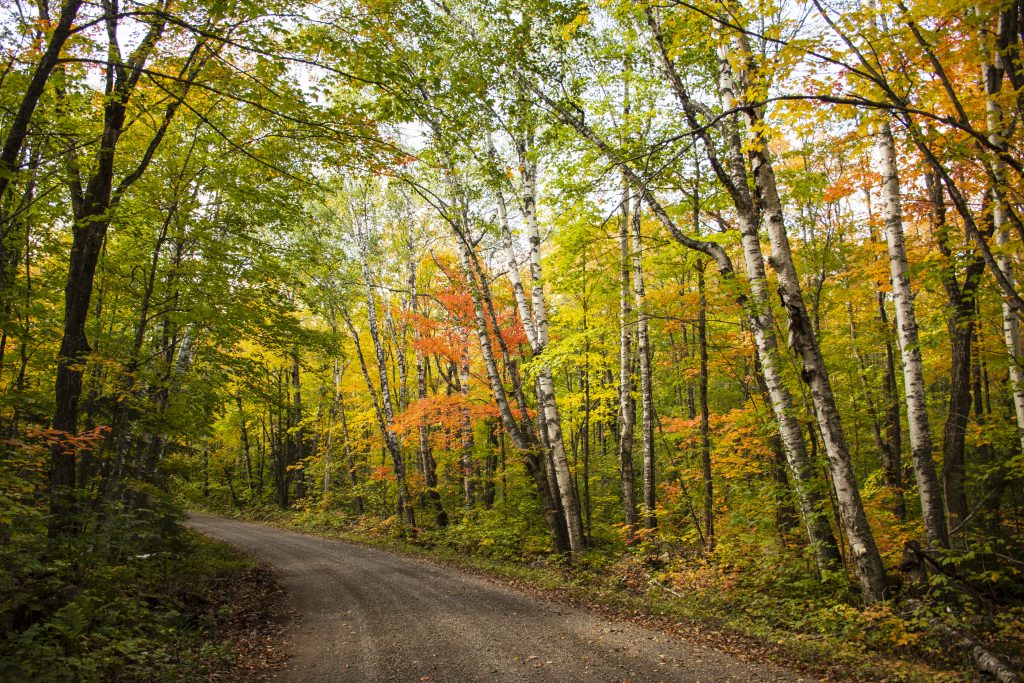 fall colors on the Honeymoon Trail, Lutsen