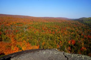 North Shore MN peak fall color