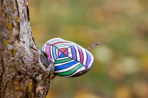 painted rock in a tree. Leave no trace principles