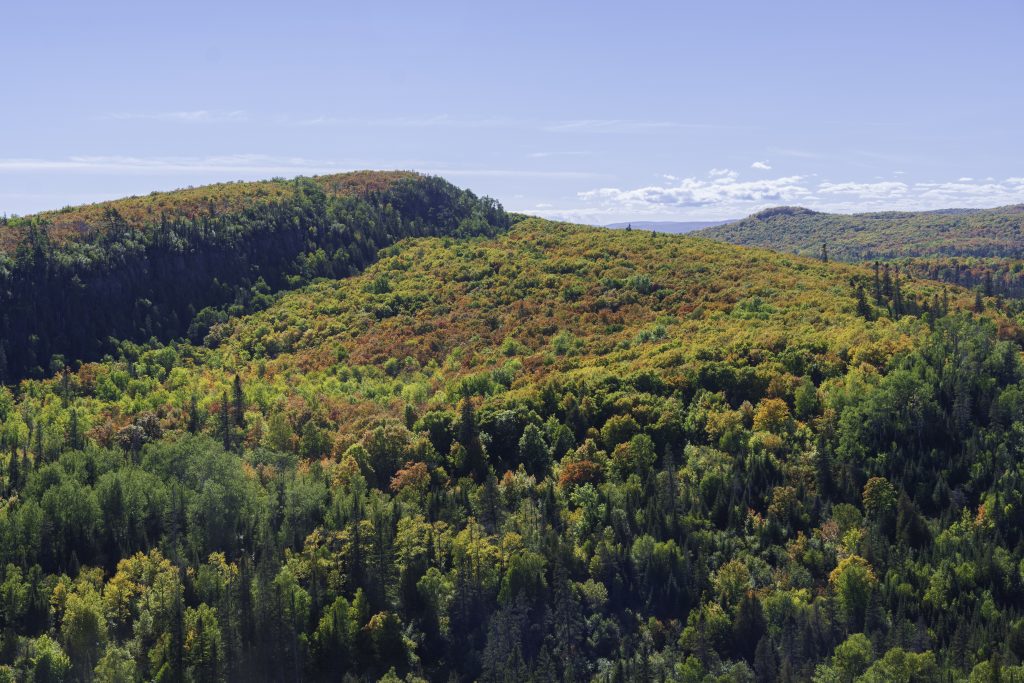 one of the views from the Oberg Mountain Loop in Lutsen, MN
