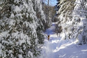 Winter outdoor recreation on the North Shore, MN